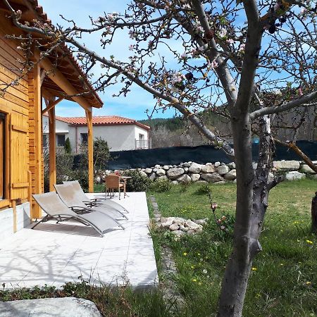 Chalet Mont Canigo Villa Corneilla-de-Conflent ภายนอก รูปภาพ
