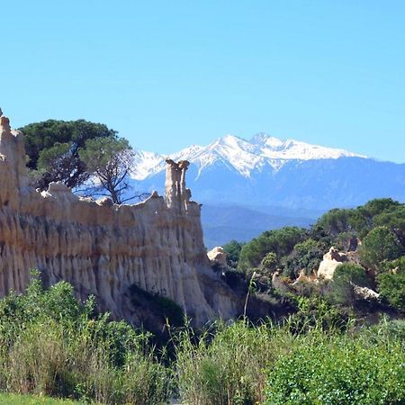 Chalet Mont Canigo Villa Corneilla-de-Conflent ภายนอก รูปภาพ
