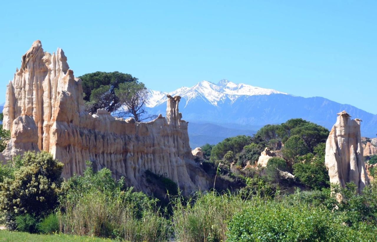 Chalet Mont Canigo Villa Corneilla-de-Conflent ภายนอก รูปภาพ