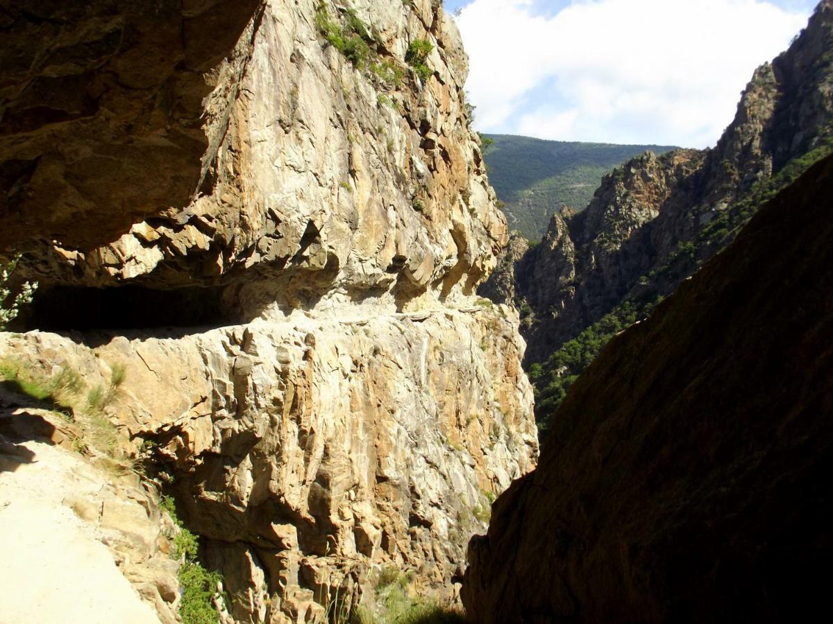 Chalet Mont Canigo Villa Corneilla-de-Conflent ภายนอก รูปภาพ