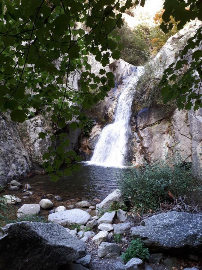 Chalet Mont Canigo Villa Corneilla-de-Conflent ภายนอก รูปภาพ