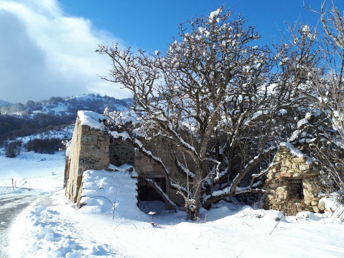 Chalet Mont Canigo Villa Corneilla-de-Conflent ภายนอก รูปภาพ